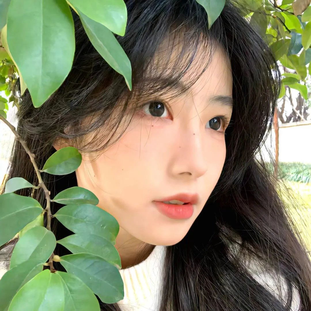 副总统